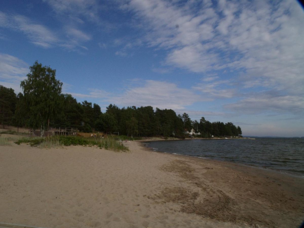 Platja amb arbres al fons