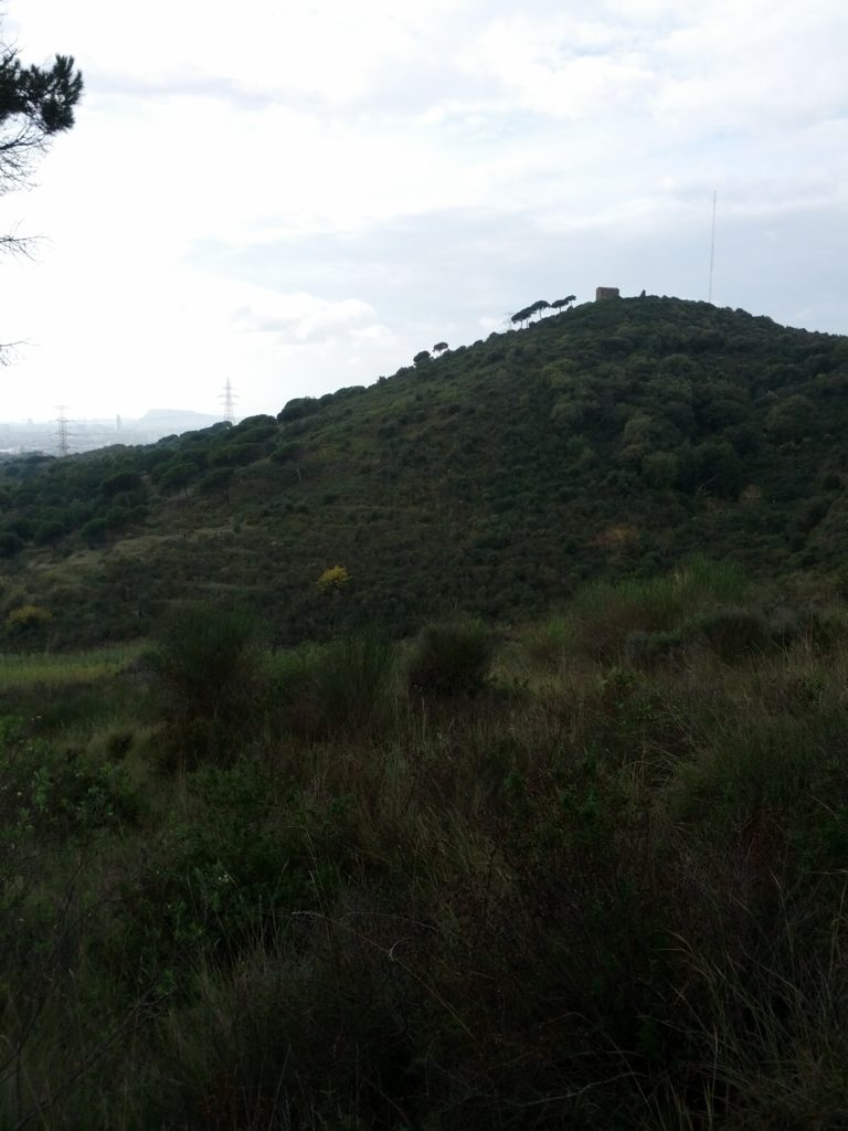 Muntanyeta amb l'ermita al cim