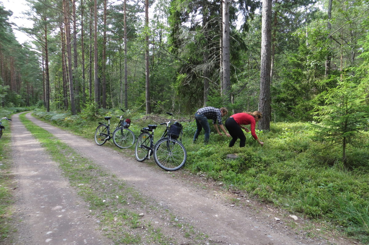 Nosaltres amb la bici aparcada a la vora del camí i agafant nabius