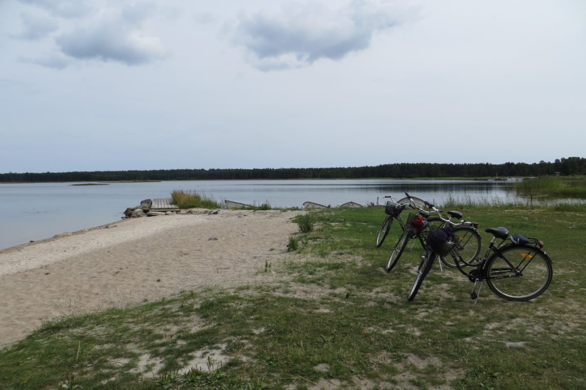 Les tres bicis amb la platha al fons