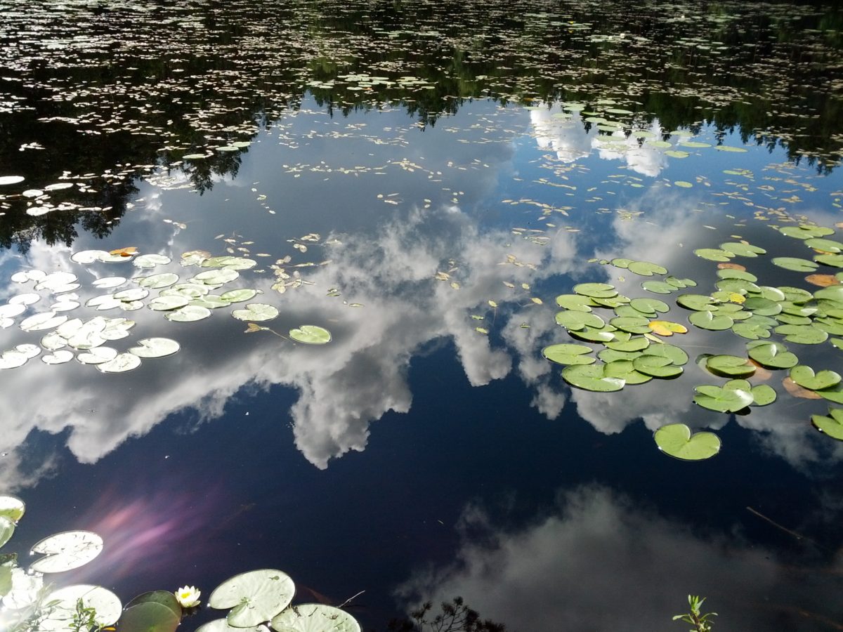 Detall de l'aigua del llac on s'hi reflecteix el cel