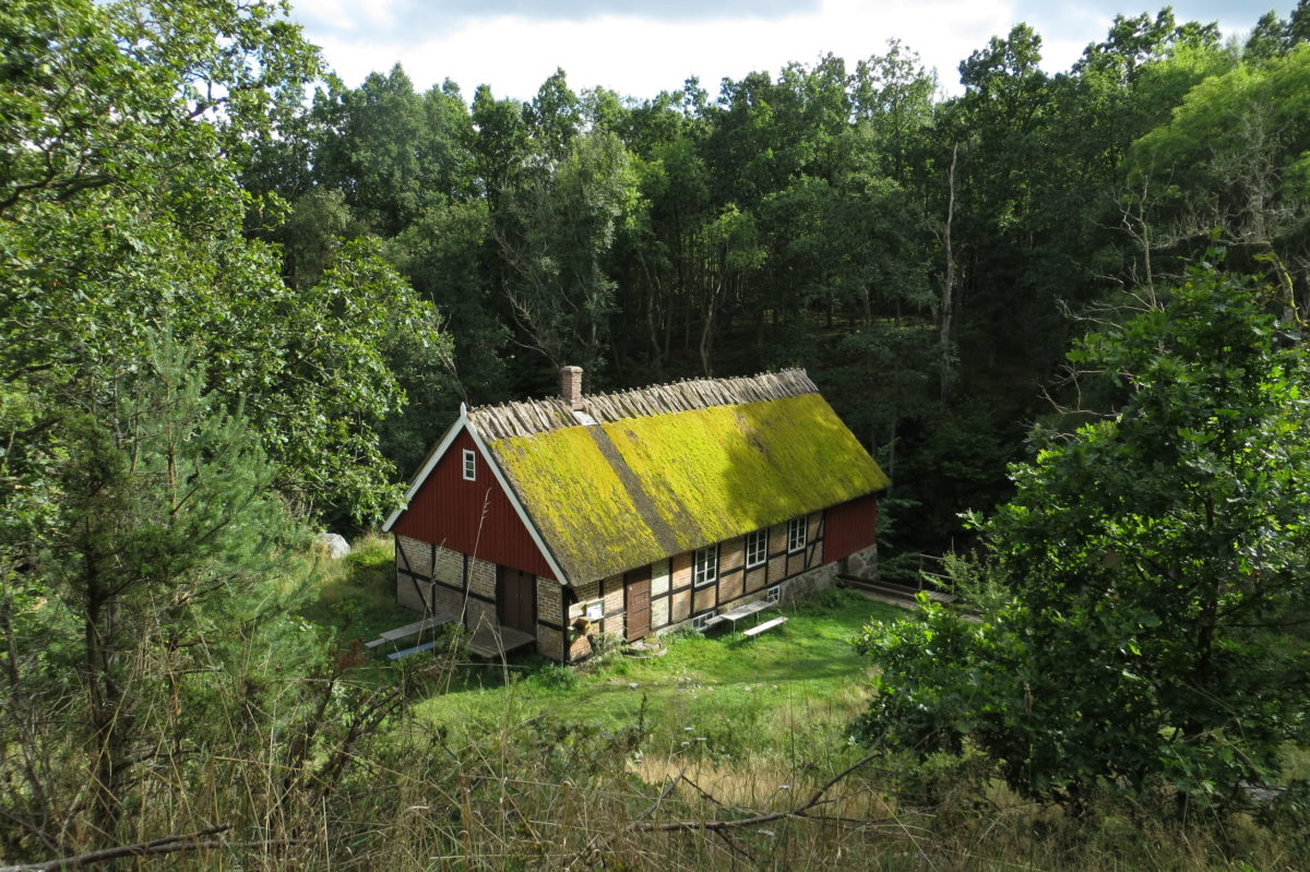 Construcció vista des de dalt, amb la teulada vegetal