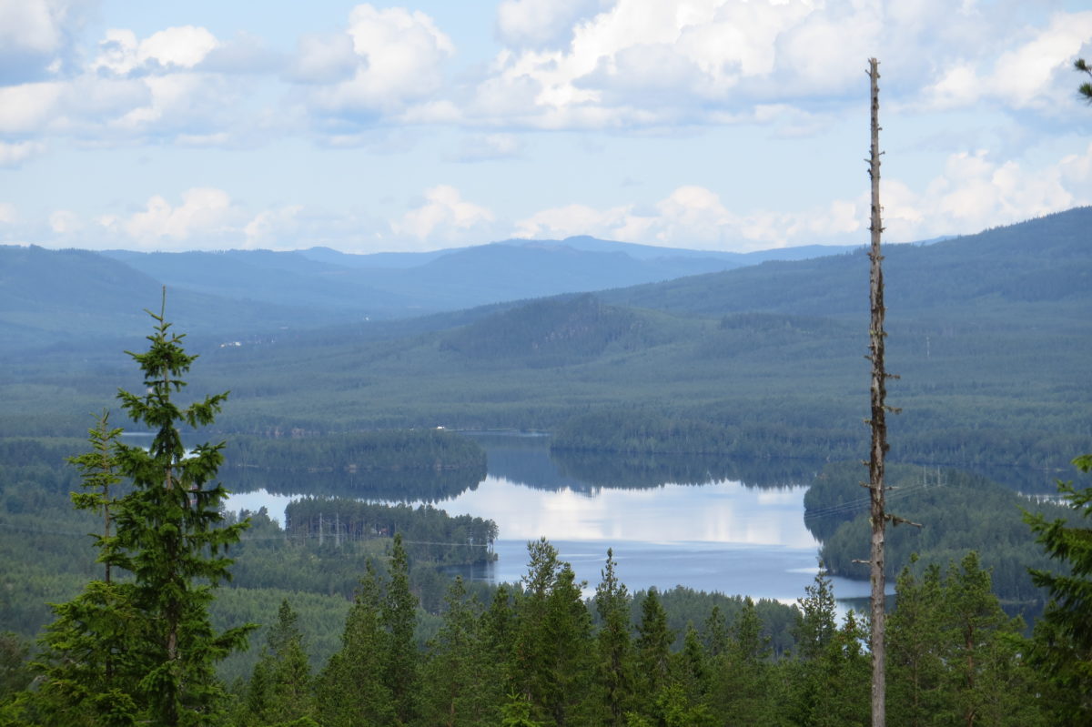 Paisatge de bosc i llacs vist de de dalt