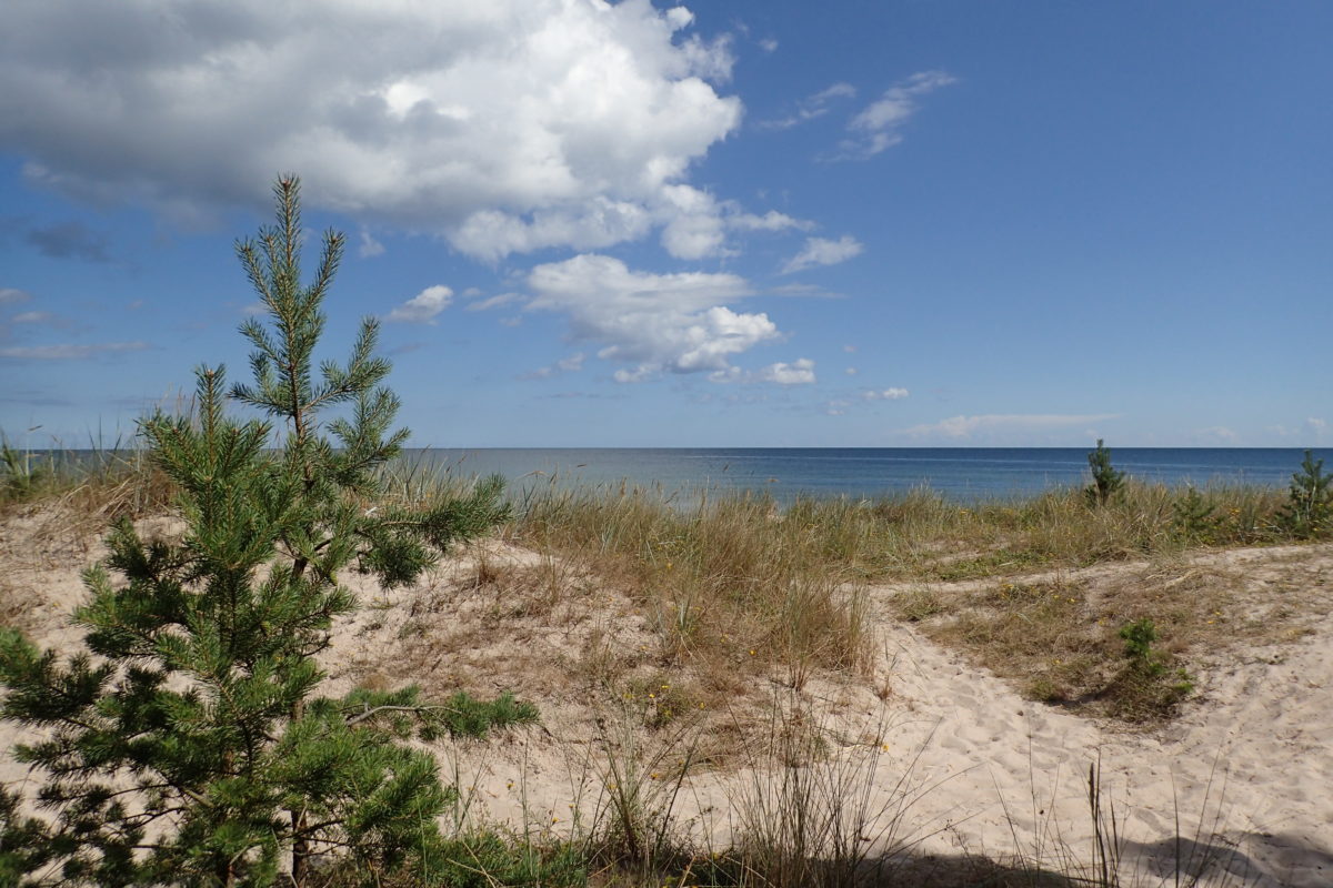 Vista frontal de la platja