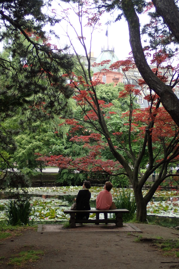 Parc a Sapporo amb dues dones assegudes a un banc mirant amunt