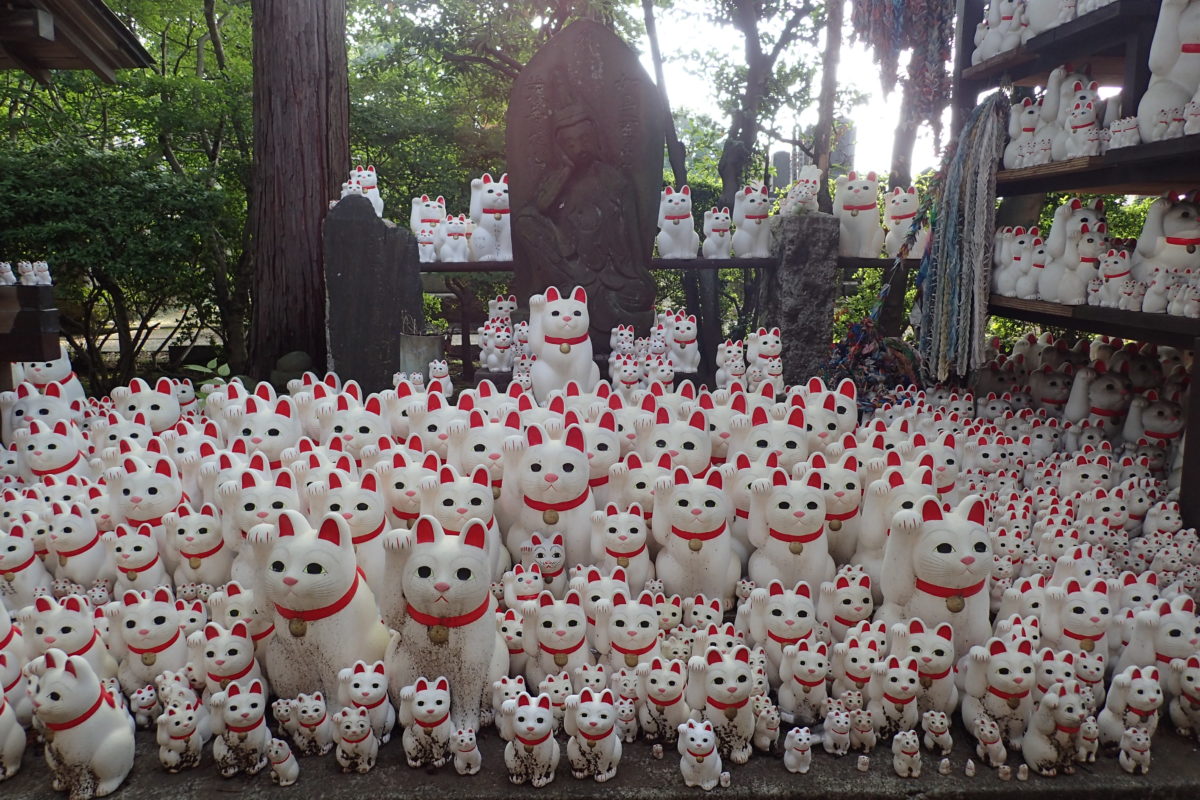 Ofrenes de moltíssims maneki nekos al temple de Gotokuji