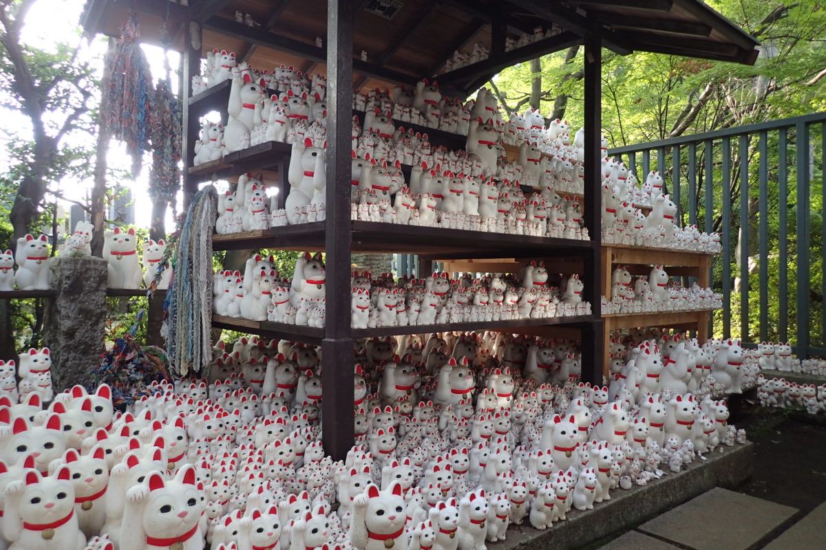 Prestatges plens de maneki neko com a ofrena al temple de Gotokuji