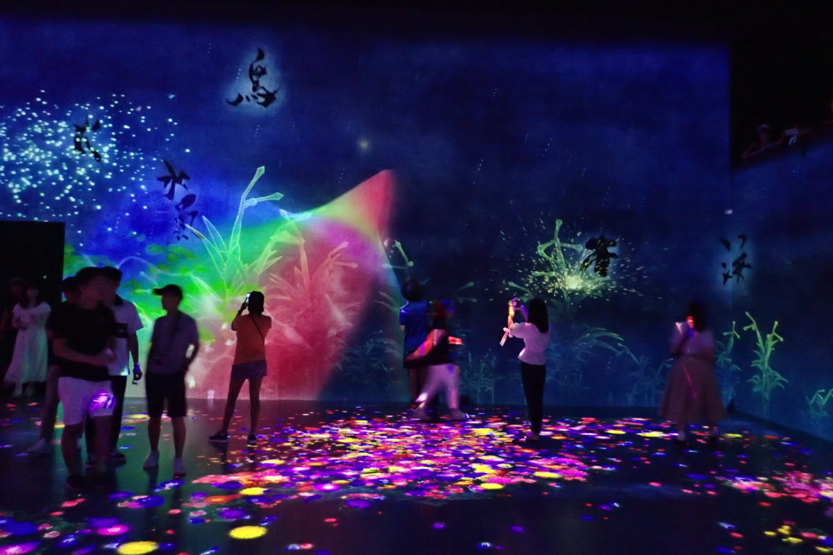 Instal·lació de projeccions de Teamlab