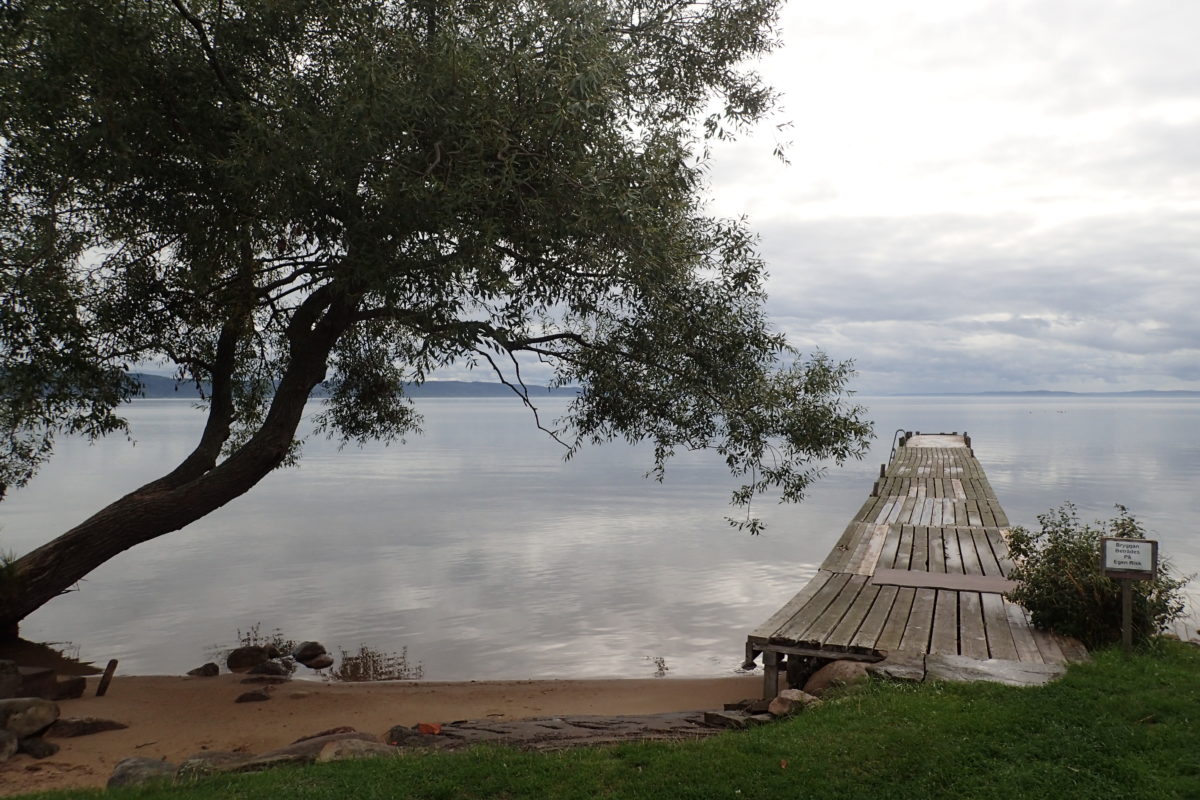 Vista del llac amb pasarel·la de fusra i arbre en primer terme