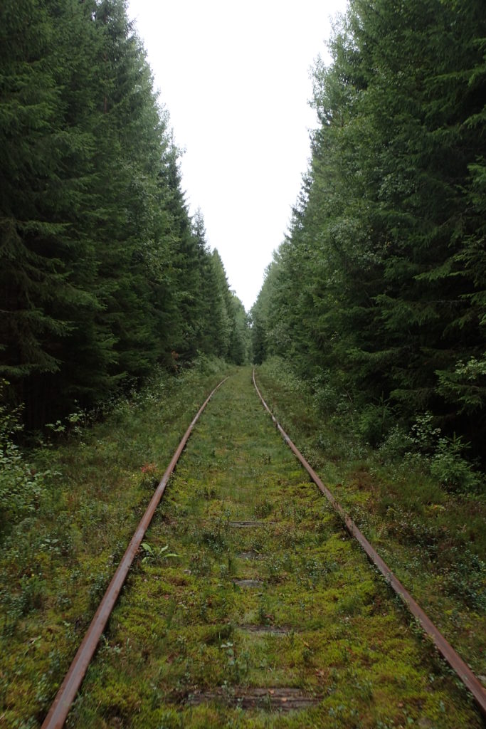 Via del dressin rodejada d'arbres