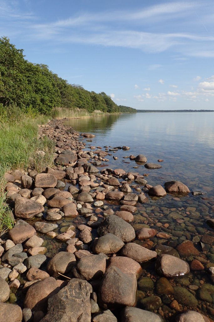 Vista del llac amb pedres en primer terme i vegetació al fons