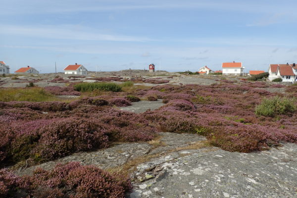 Vista de les casetes a Käringön, amb la roca plena de Brugarola en primer terme