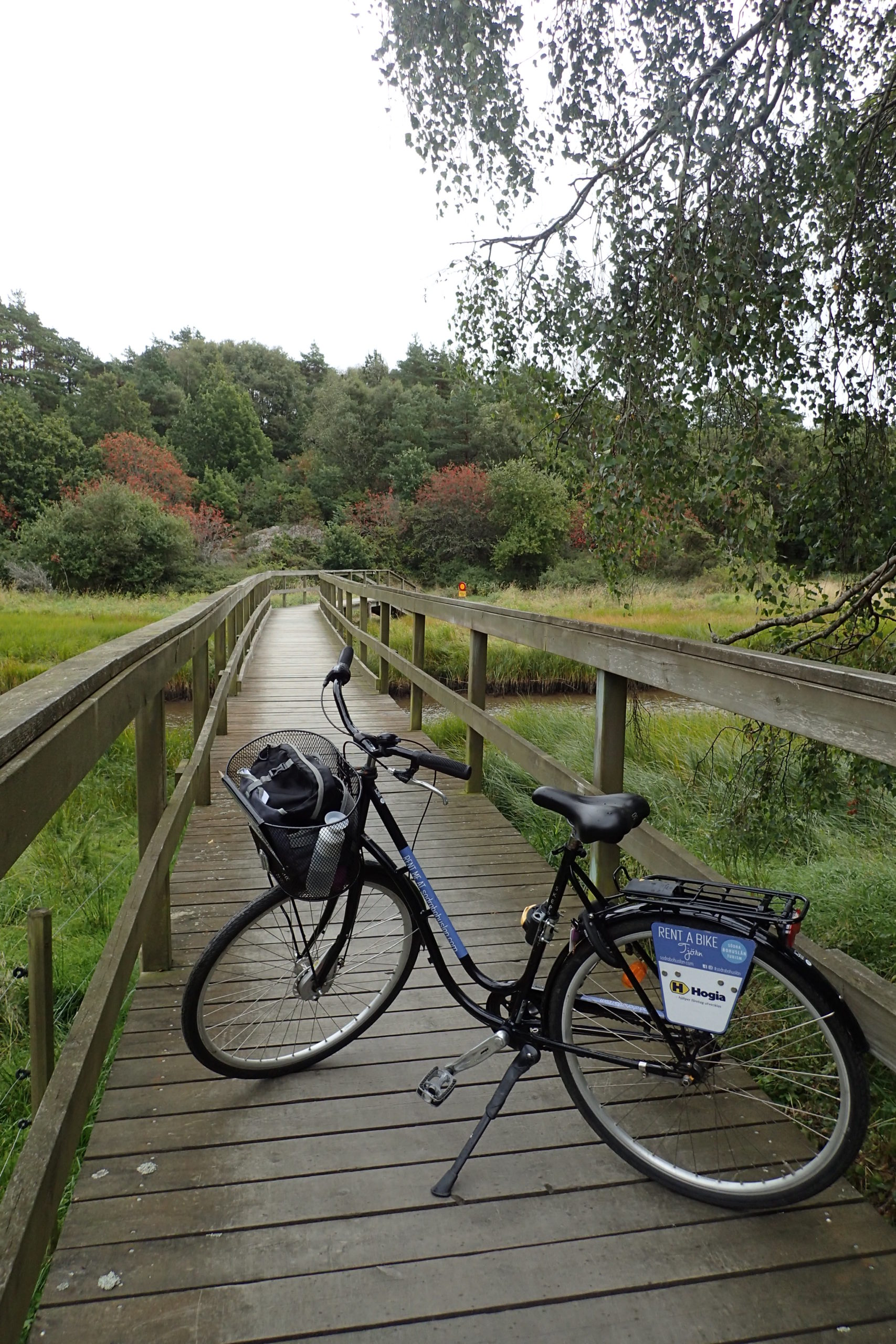 La bici sobre una de les passarel·les de fusta