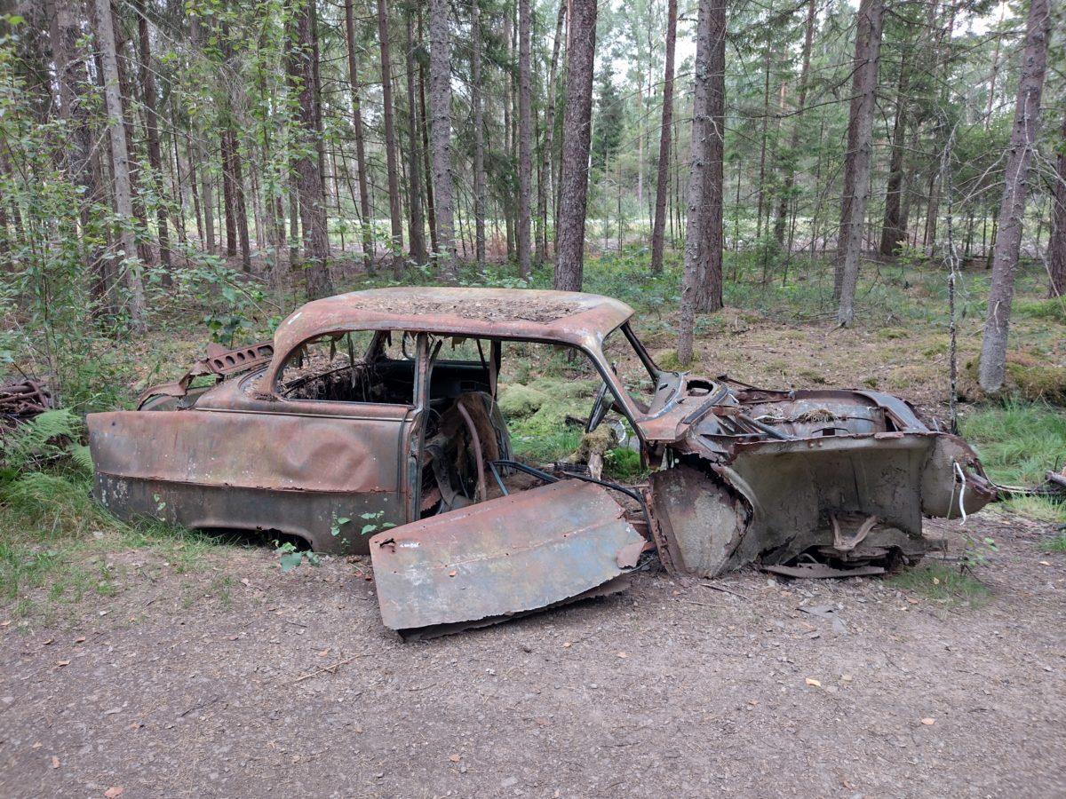 Cotxe molt deteriorat emmig del bosc