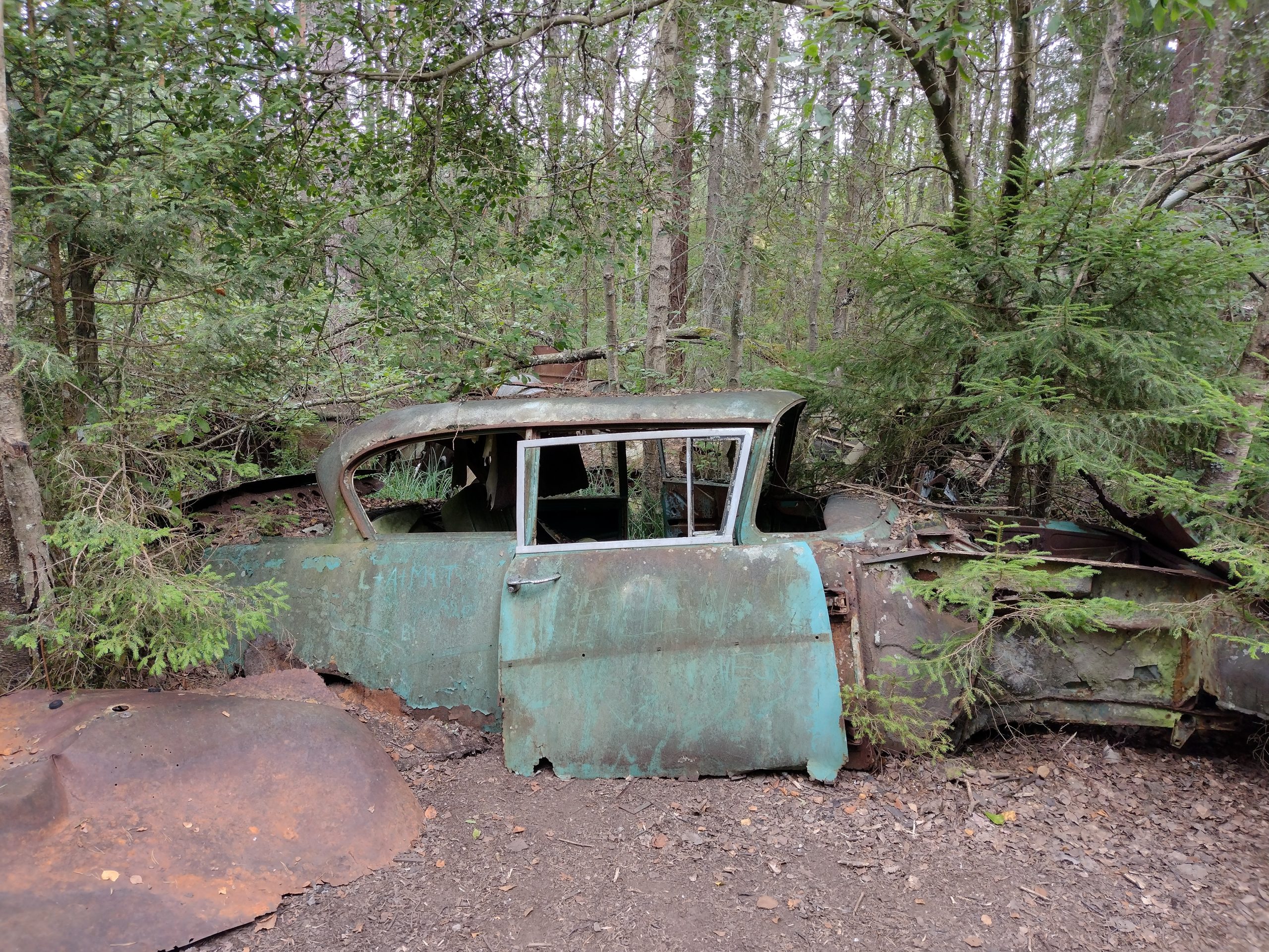 Cotxe verd blau molt deteriorat emmig del bosc