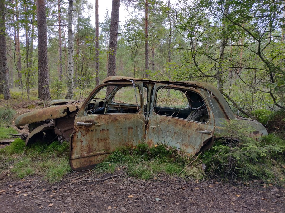 Cotxe molt deteriorat emmig del bosc