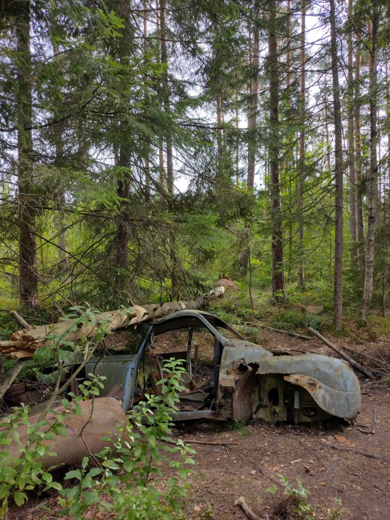 Cotxe engolit per les plantes emmig del bosc